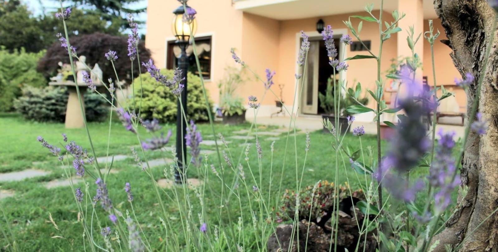 Un Sorriso Sul Viso Villa Martiniana Po Kültér fotó
